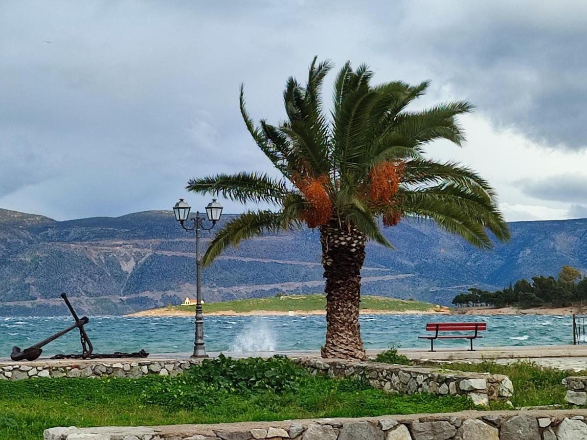 Archontiko Art Hotel Galaxídhion Dış mekan fotoğraf